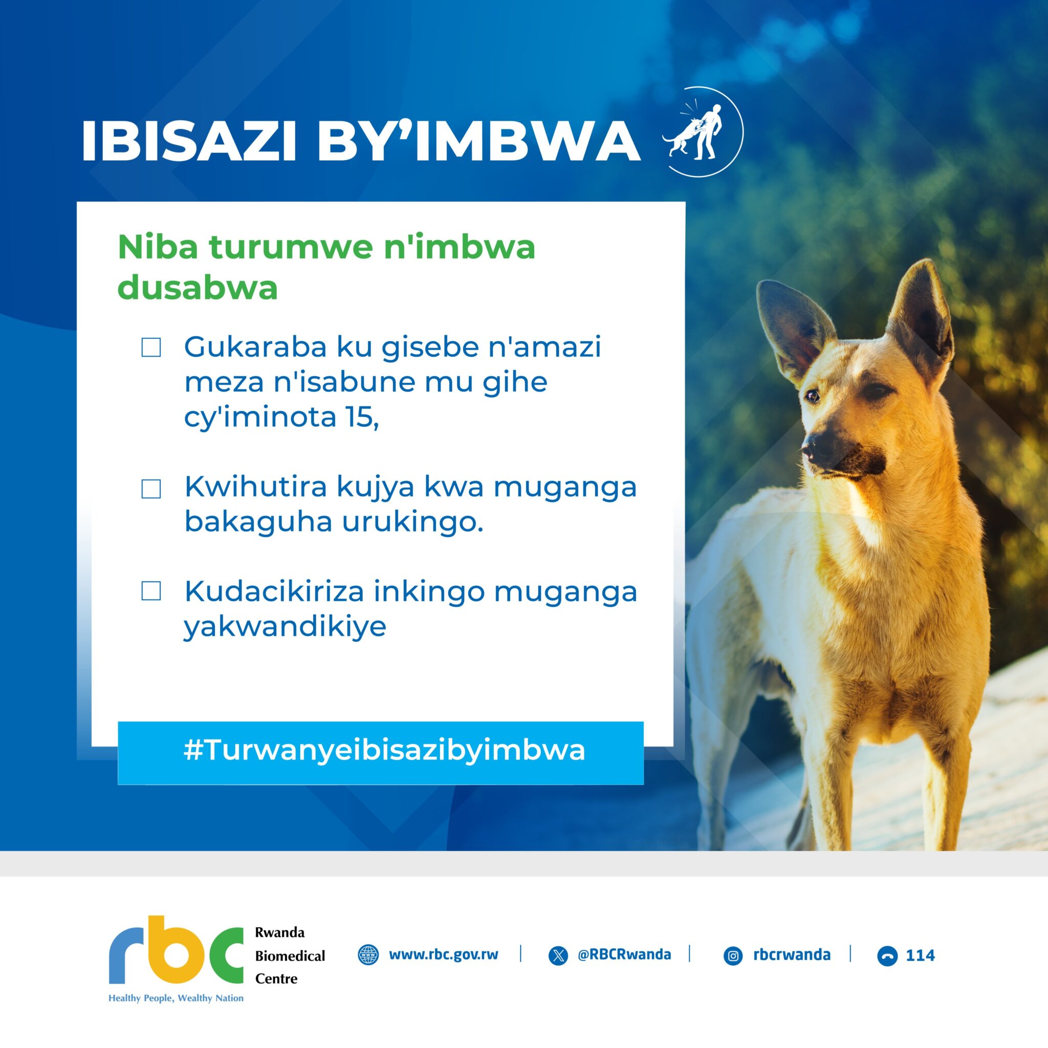 Indwara y’ibisazi by’imbwa: U Rwanda rwihaye intego yo kuyirandura ...